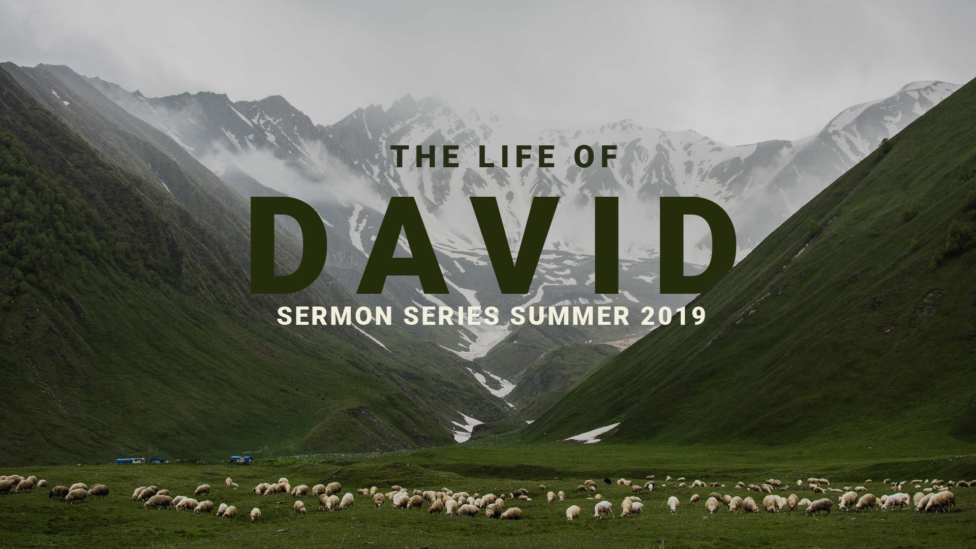 Contrast Between David & Saul: August 4, 2019